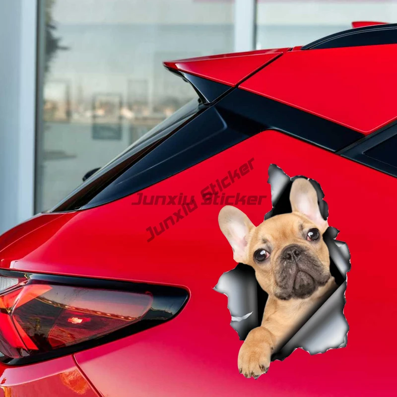 

French Bulldog Self-adhesive Decal Car Sticker Waterproof Auto Decors on Bumper Rear Window Laptop Scratch-Proof Sunscreen