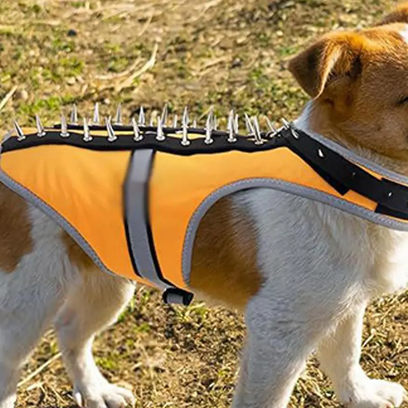 Coyote Collar Spike Collar For Dog Protection Coyote Vest For Dogs