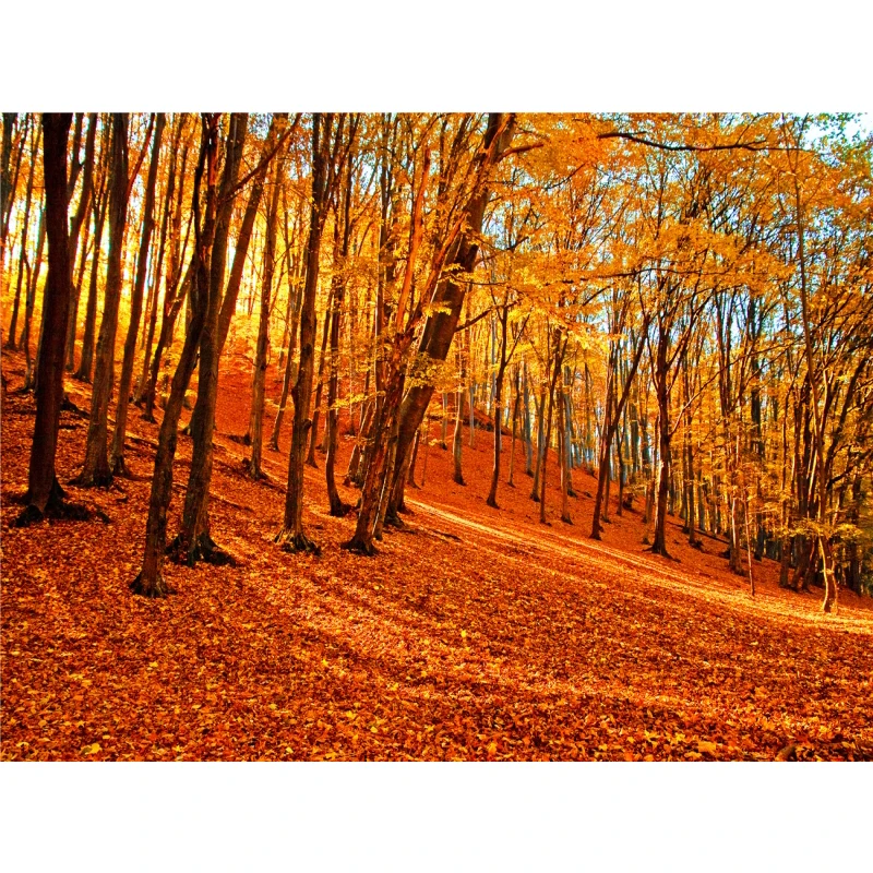 thumbnail image 1 of Póster de lienzo con decoración de otoño, hojas amarillas, vista de otoño, arte de pared, impresión, pintura de puente, imagen de Halloween, decoración del hogar para sala de estar, 1 of 5