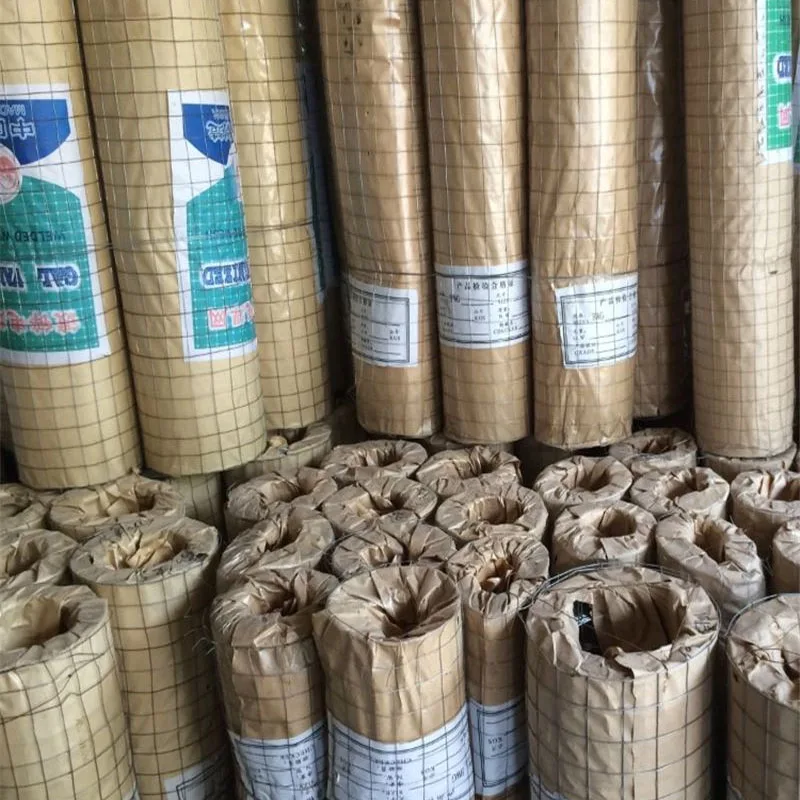 1x15meters landscaping shape plastering internal external wall anti cracking Mortar wire mesh net flue hanging Mortar Net