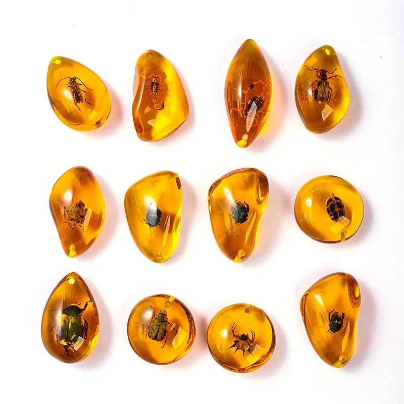 Natural Insect Amber Specimens Crafts Children Science Education Cognitive Toys Amber Bugs Scorpions Ladybirds Insect Specimens