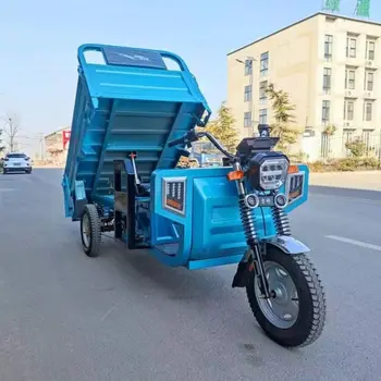 Triciclo Elettrico Agricolo per Carichi Pesanti, Veicolo da Trasporto a 3 Ruote ad Alta Potenza 60V 1000W per Agricoltura e Giardinaggio
