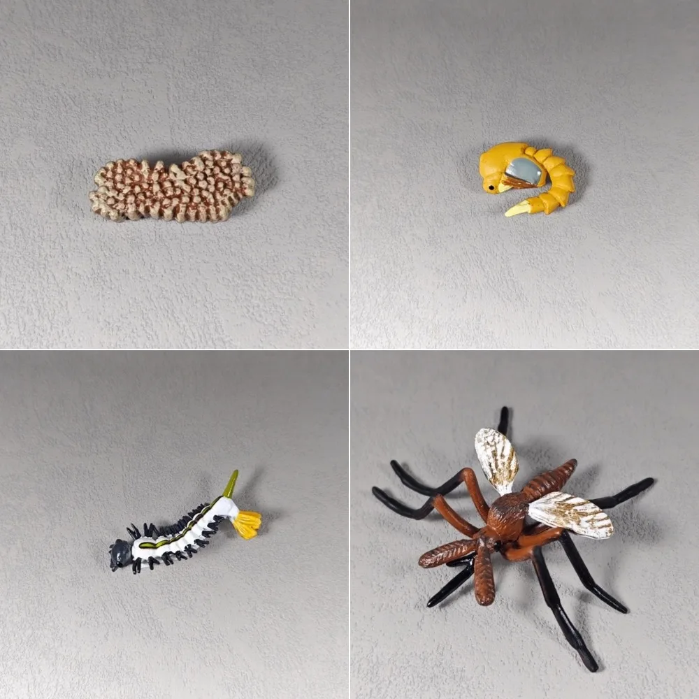Detailed Mosquito Growth Stages Model, Learn and Play with Realistic Insect Models, Perfect for Kids and Educators