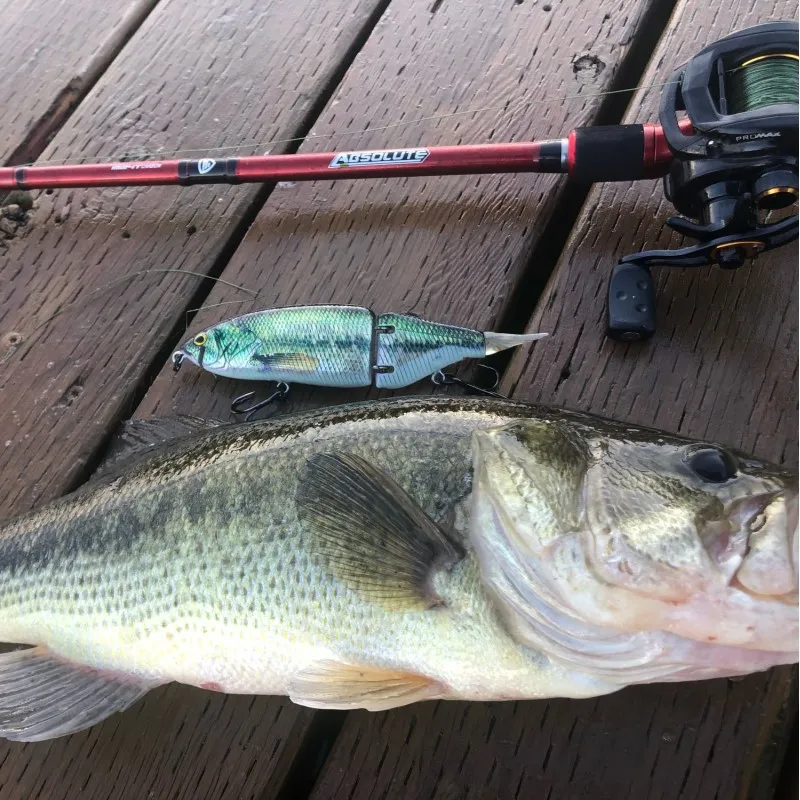 Mackinaw Shad Lot de 2 appâts nageurs pré-montés (37 g blanc glacier), appâts de natation