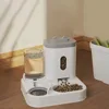 Automatic Pet Feeder & Water Dispenser for Cats Dogs - Smart Food Feeding Station, Automatic Waterer, Pet Supplies 4