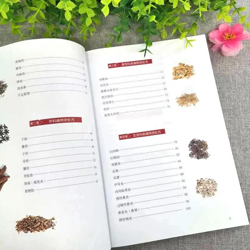 Traditional Chinese Medicine Special Effect Prescription Encyclopedia Materia Medica Prescription Chinese Herbal Medicine Books