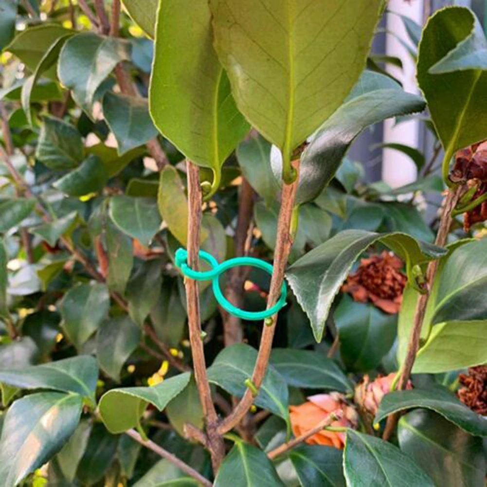 

100pcs Garden Plant Clip Reusable Fruits Tomato Vine Grow Support Holder Straps Garden Stand Tool Vine Grafting Clips Supports
