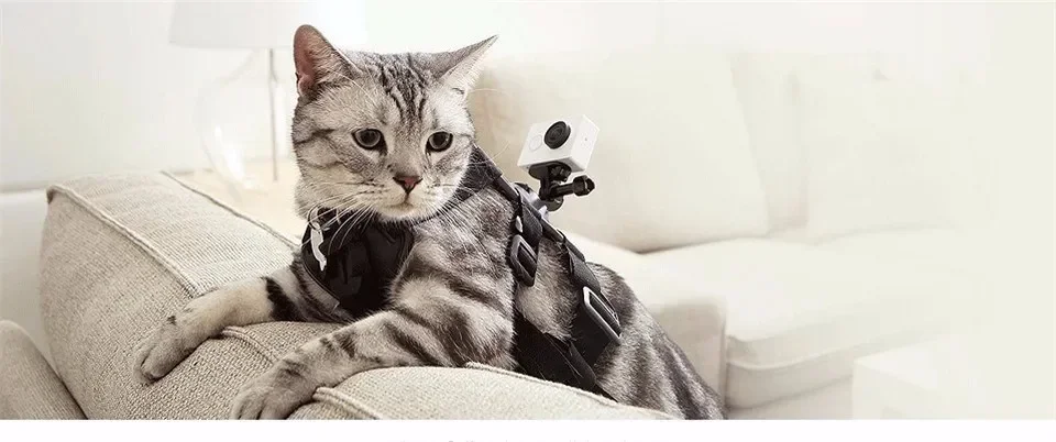 HTB1oNxIKFXXXXbfXXXXq6xXFXXXL_