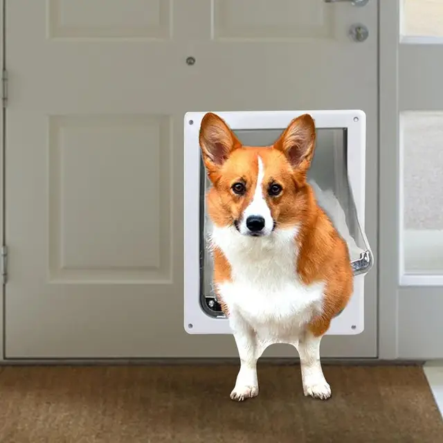 Kutyaajtó Csere Kutya És Macska Fali Belépés Átlátszó Ajtók Hordozható Kutyus Ház Ajtó Beltéri Háziállatok Számára - Image 5