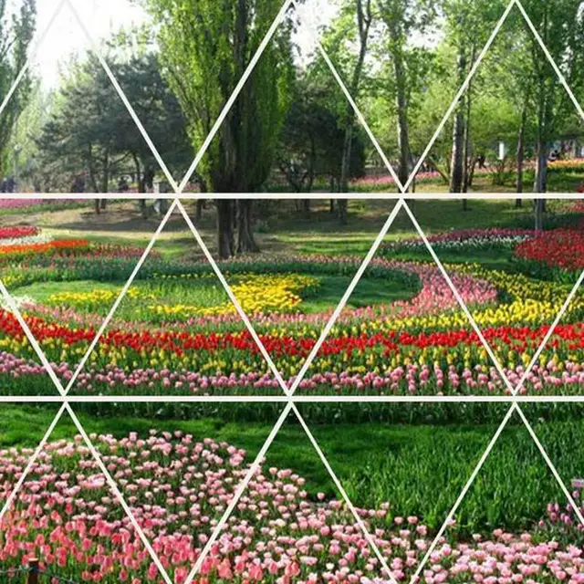 Tó Talaj Víznövényekhez Táplálkozási Agyag A Lótusz Növényi Műtrágya Víznövények Vetőmagtermesztési Táptalajok - Image 6