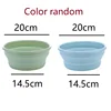 20cm color random
