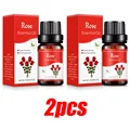 Rose 2pcs