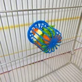 Image 6