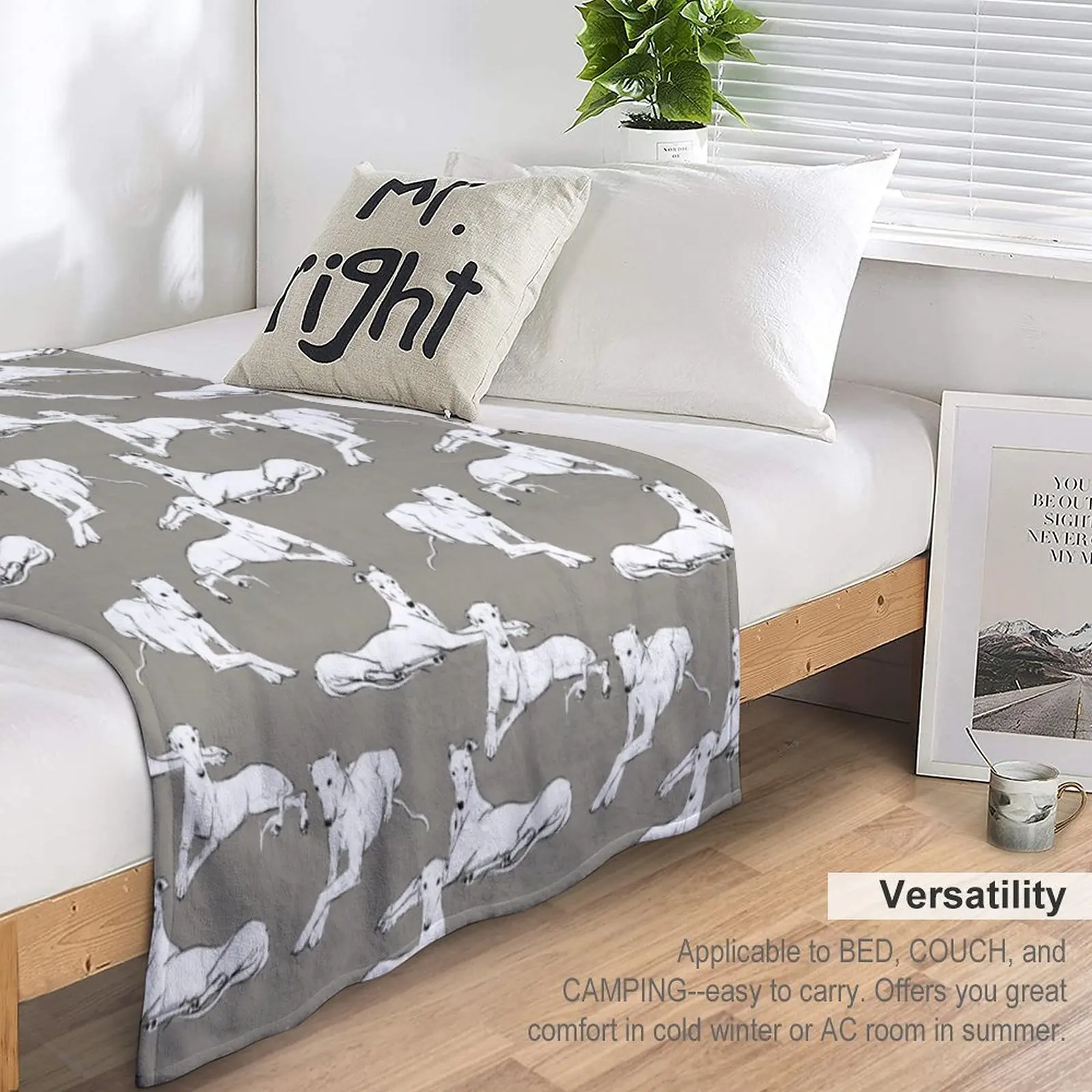 ������ ������ ���, ���� ķ�ο� ������ ���