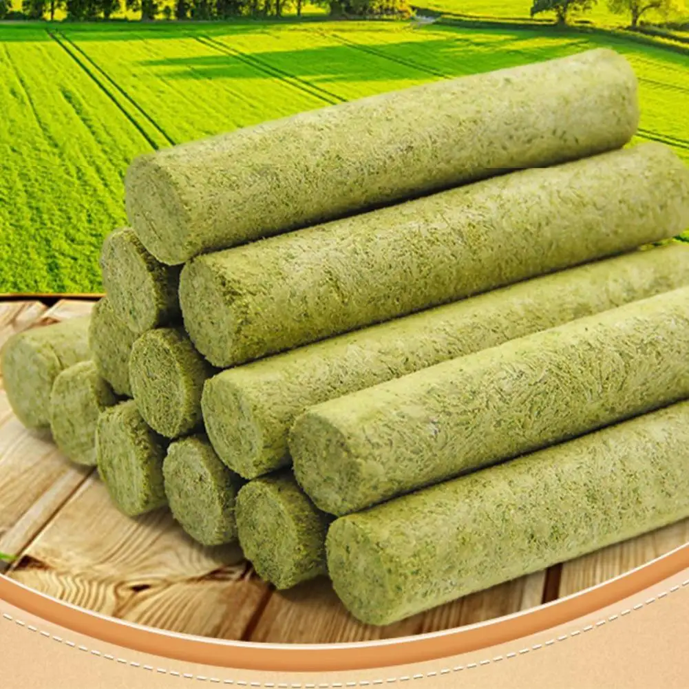 Cat Grass Scented Stick Pet Snacks Mild Cat Tooth Cleaning Grass Stick Pet Supplies Catgrass Tablets Grinding Teeth cat grass sticks