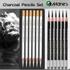 12pcs Marie's White Charcoal Pencils Set,Sketch Highlight Pencils,for Sketching,Shading,Blending,Supplies for Beginners,Artists 1
