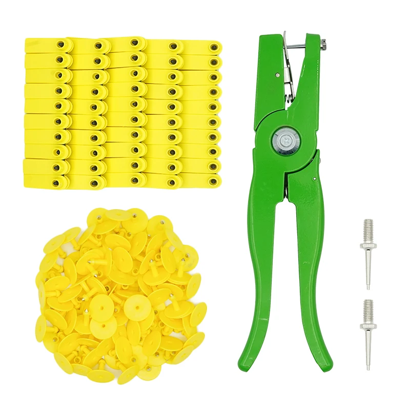 Yellow no numbers