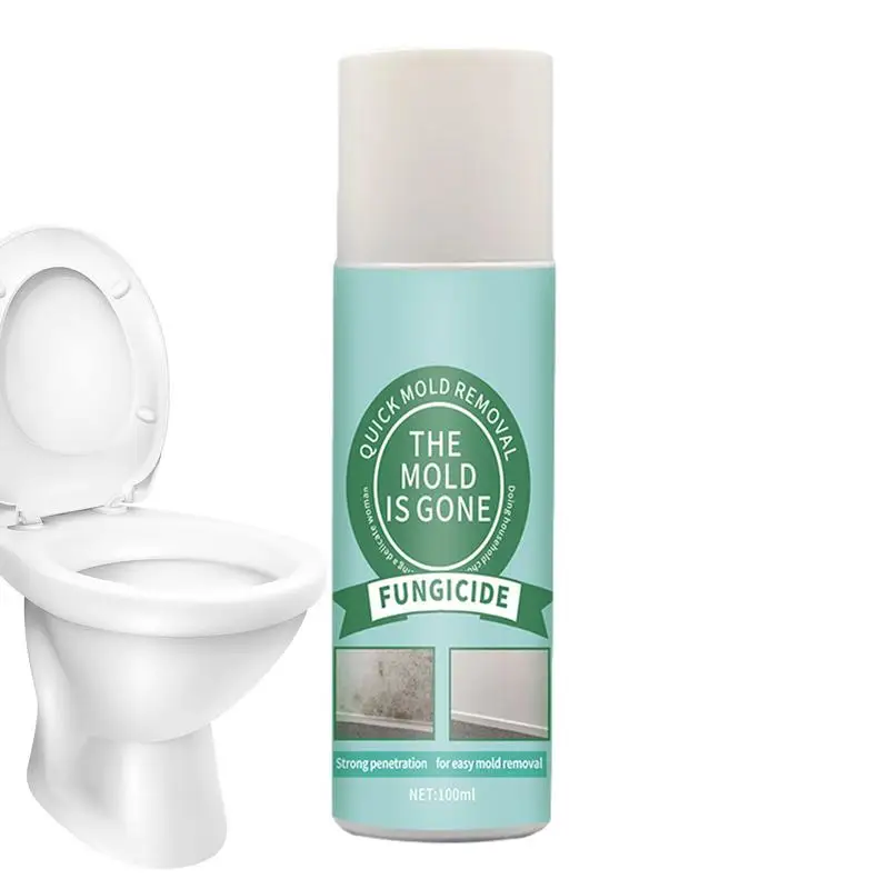 Рисунок 2 - Спрей для очистки формы