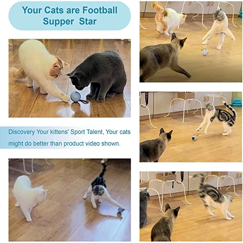 Stilts Cat Battle Cats corona.dothome.co.kr