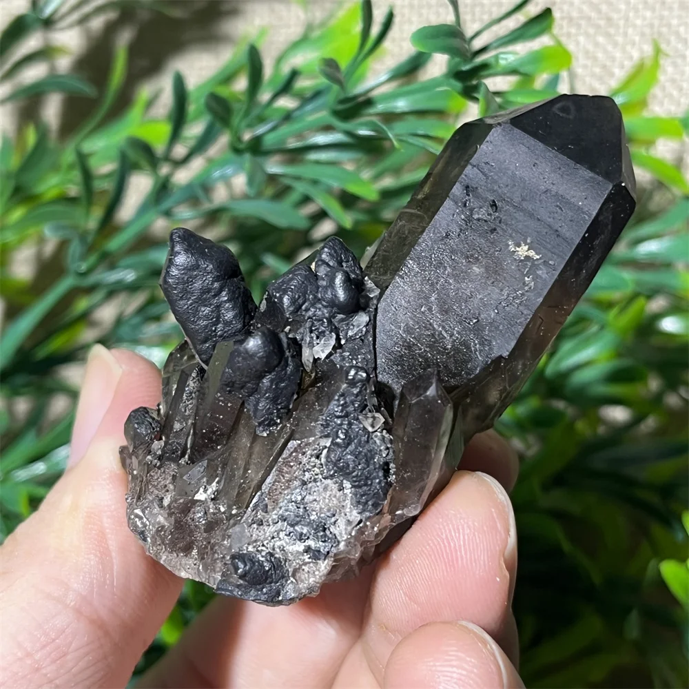 精麻Sサイズ鎮座スタイル　鱗　10mm水晶宝珠付き 精麻Sサイズ鎮座スタイル 鱗 10mm水晶宝珠付き