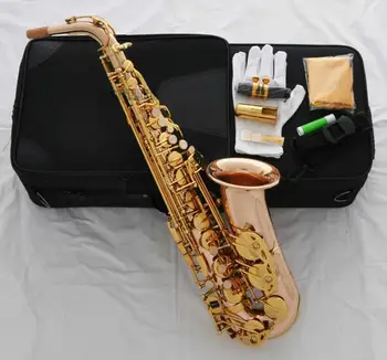 NEW Professional 54 Reference Alto Saxophone Rose Brass Sax WAS-663