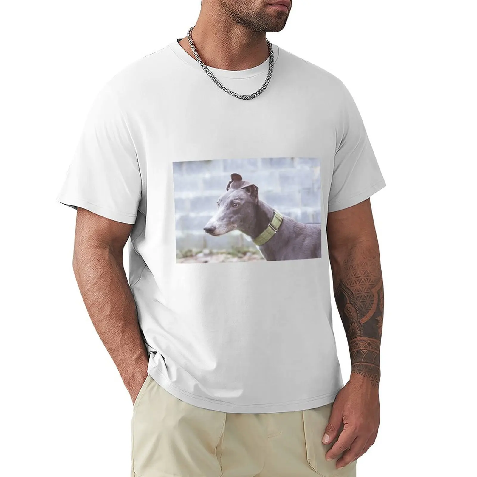 

Greyhound portrait T-Shirt quick drying korean fashion Men's t-shirt