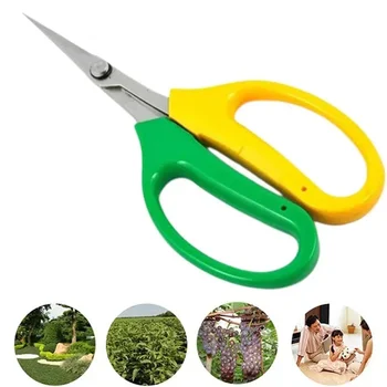 Sturdy Garden Fruit & Grape Pruning Shears - Multifunctional Alice Scissors with Soft Handles & Curved Blades