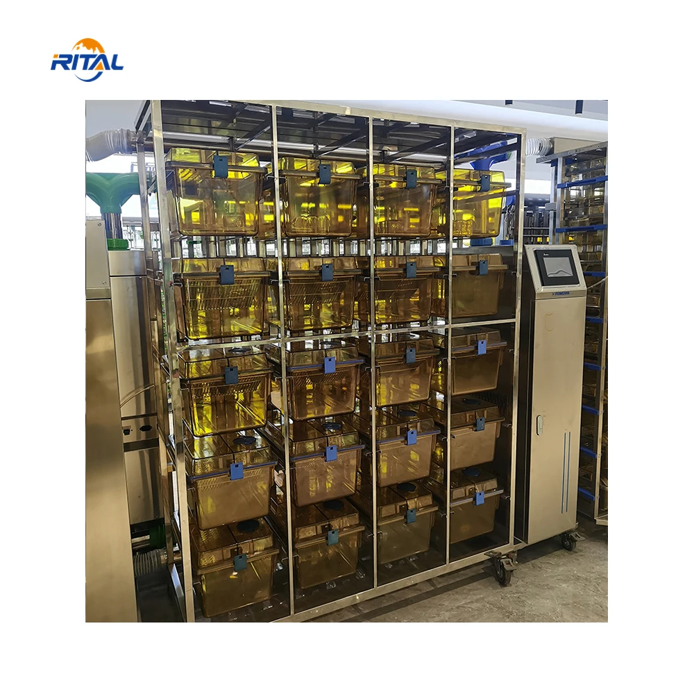 Store Home Products Feedback