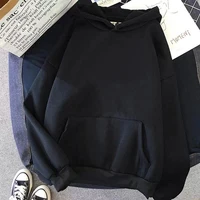 Totoro 0300
