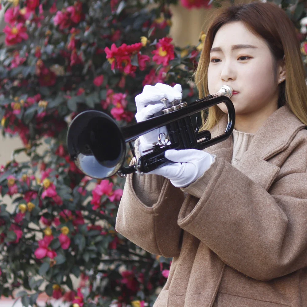 SLADE Bb Trumpet B Flat Trumpet Colored Lacquer Brass Body Professional Brass Musical Instrument with Case Mouthpiece Accessory