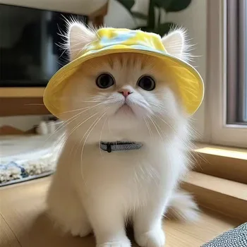 Cat Sun Hat with Ear Holes (L) 1