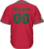 2024 Mexico Baseball jersey 3D Print Mesh Free Custom Name Baseball Shirt Men's Street Oversize Apparel Short Sleeve Sportswear 6