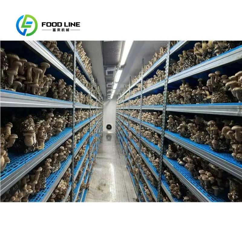 รูปสินค้า ห้องเพาะเห็ดแบบตู้คอนเทนเนอร์ พร้อมฉนวนกันความร้อน PIR ฟาร์มแบบโมดูลอัจฉริยะสำหรับการผลิตเห็ดเชิงพาณิชย์ ระบบการทำฟาร์มแนวตั้ง