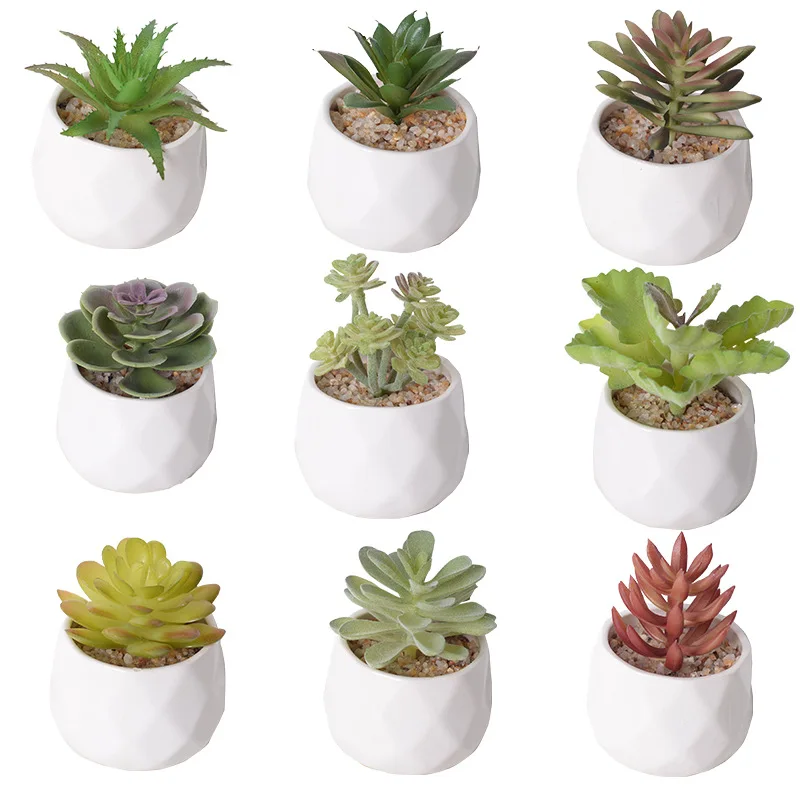 Artificial Succulent Cactus - Indoor Potted Plant Decor for Office  Garden