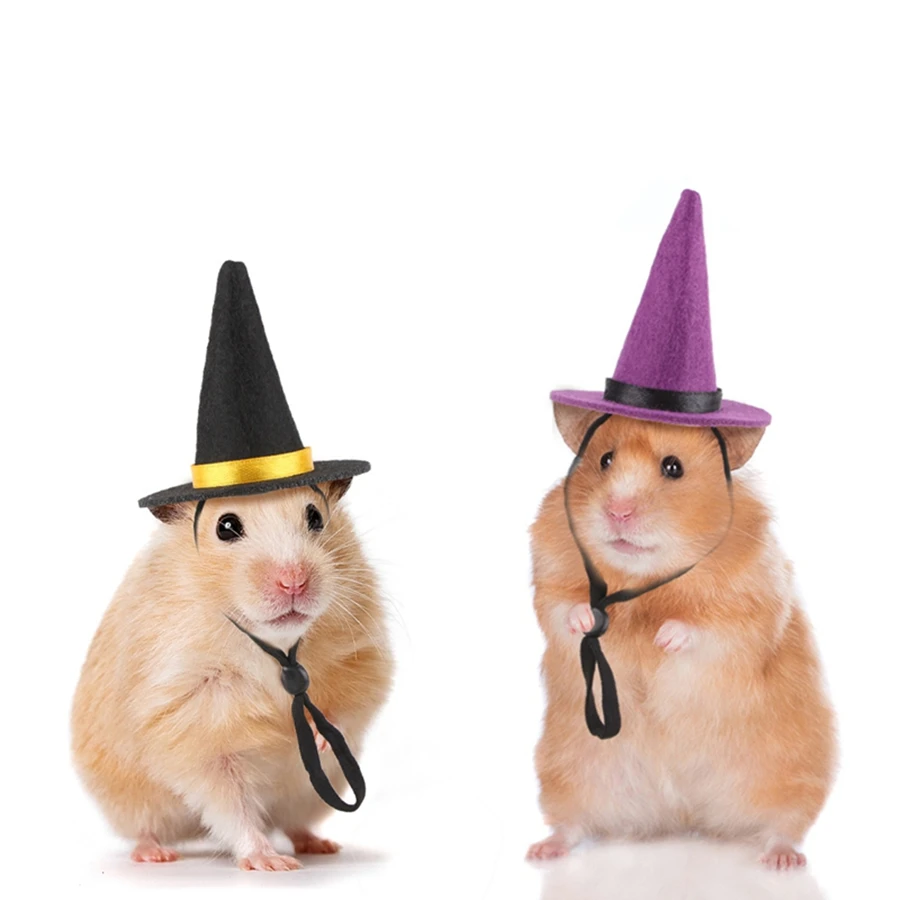 1pcs New Pet Halloween Magic Witch Hat Decoration Hamster Party Wizard Hat Golden Bear Accessories