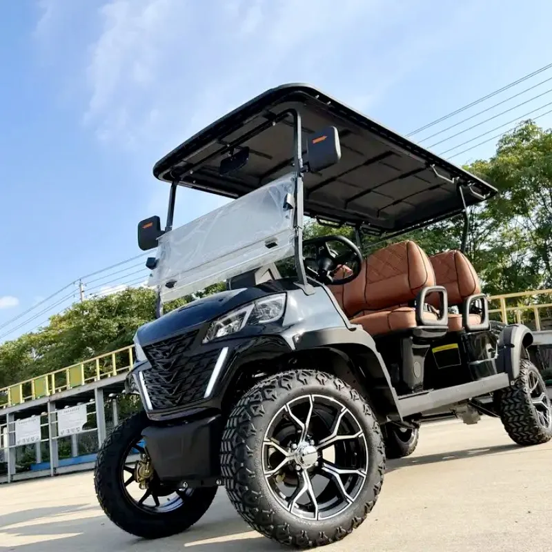 

New Style 4 Seats Golf Cart 2+2 Passengers New Energy Electric Sightseeing Vehicles Lifted Golf Buggy WIth CE