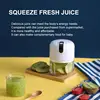 250mL Mini Electric Garlic Masher Chopper Cutter Ginger Masher Machine for Kitchen Food Crusher Chili Vegetable USB Charging 2
