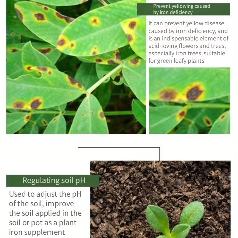 Ferrous sulfate flower acid fertilizer general jasmine flower iron fertilizer rhododendron gardenia special