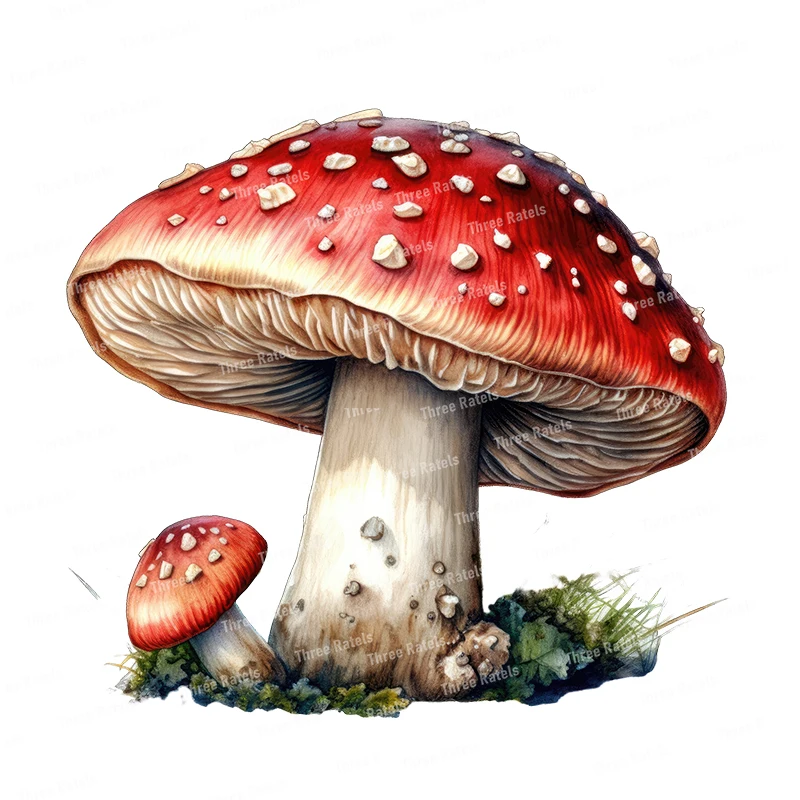 Three Ratels CF9 Cute wild mushroom watercolor cartoon stickers for children's bedroom wall stickers