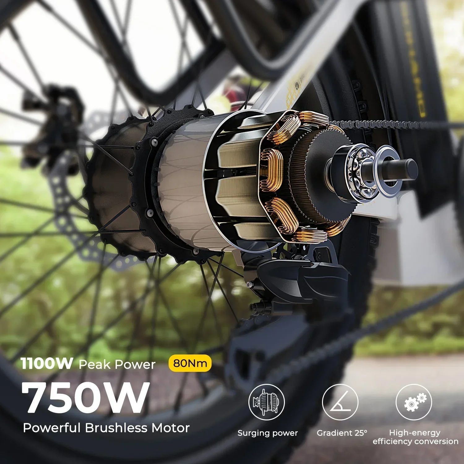 Electric Bike Electric Bicycle Ebike S3 750W 20Ah 48V Lithium Battery Electric Bicycle Hub Motor Adult Women's Electric Bicycle Beach City
