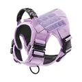 Purple Harness