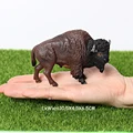 Bison
