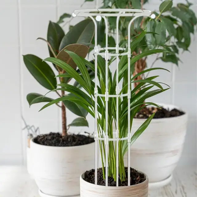 Beltéri Rácsos Leszerelhető Kert Obeliszk Rács Hordozható Cserepes Növényi Hegymászás Virágok Számára Zöldség Gyümölcsök Szőlő - Image 4