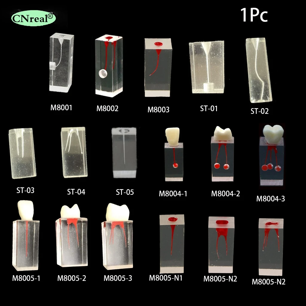 

1Pc Dental Model Endodontic Root Canal Block Tooth Training Endo Training RCT Student Practice Teach Study Resin Teeth Dentistry