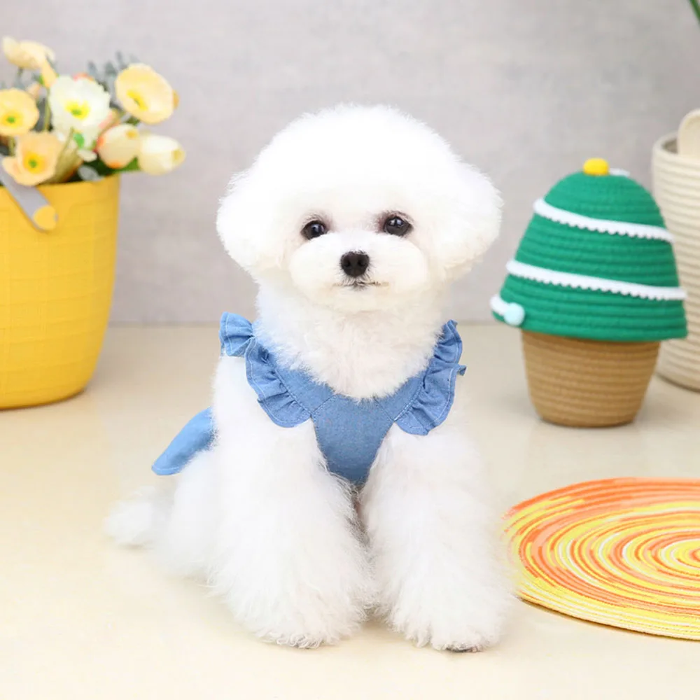 Fashionable Dog Dress