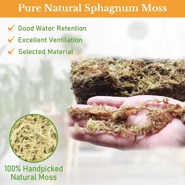 Természetes Sphagnum Sűrített Mohás Szerves Táplálkozási Műtrágya Orchidea Szárított Moha Védje A Kertészeti Növények Nedvességtartalmát - Image 3