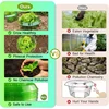 Plants Slug Protection Rings Vegetables Cover Plant Snail Collar Guard Green Planter Flower Pot Pest Control Trapper Garden Tool 5