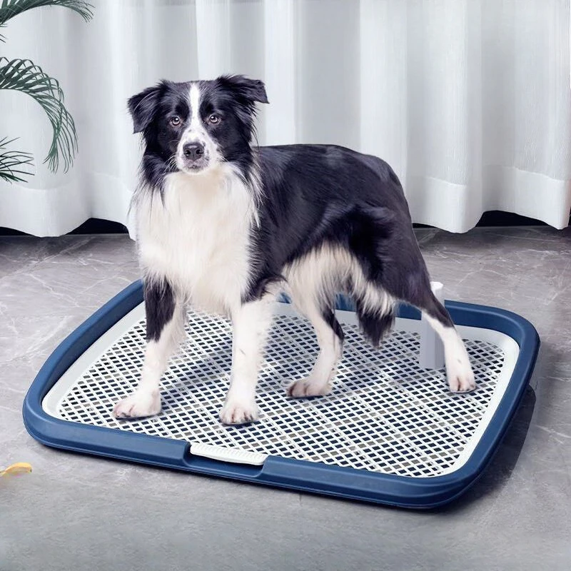 Raccoglitore Scooper Puppy Toilet Training Pads Dispenser Lettiera Per Cani Supporto Per La Pulizia Bolsas Caca Perro Pet Supplies Cy50Dt