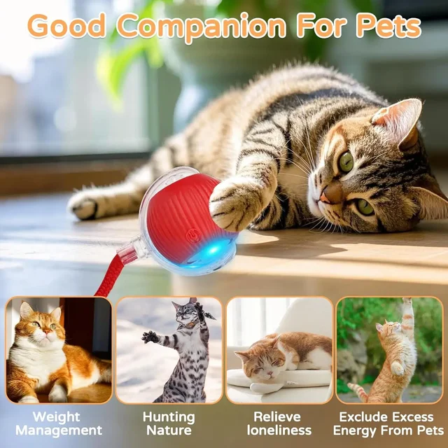 iLMH 1/2 PCS Jouet interactif pour chat, balle roulante automatique, fausse queue, rechargeable, jouet électrique intelligent pour animaux de compagnie, jouet pour animaux de compagnie imitant une souris 3 iLMH 1/2 PCS Jouet interactif pour chat, balle roulante automatique, fausse queue, rechargeable, jouet électrique intelligent pour animaux de compagnie, jouet pour animaux de compagnie imitant une souris 3