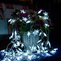 White Light